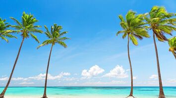 What does a Palm Mean in Your Dream?