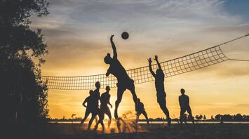 Volleyball Dreams: Signs of Competition, Social Energy, and Growth